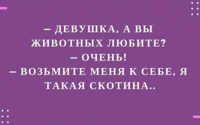 Прикольные картинки