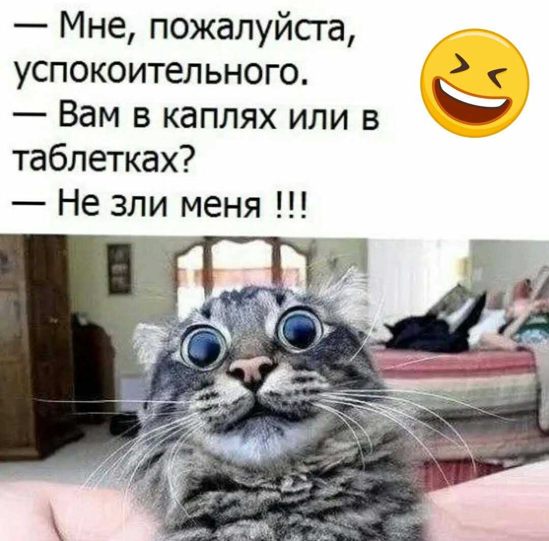 Успокоительные смешные картинки