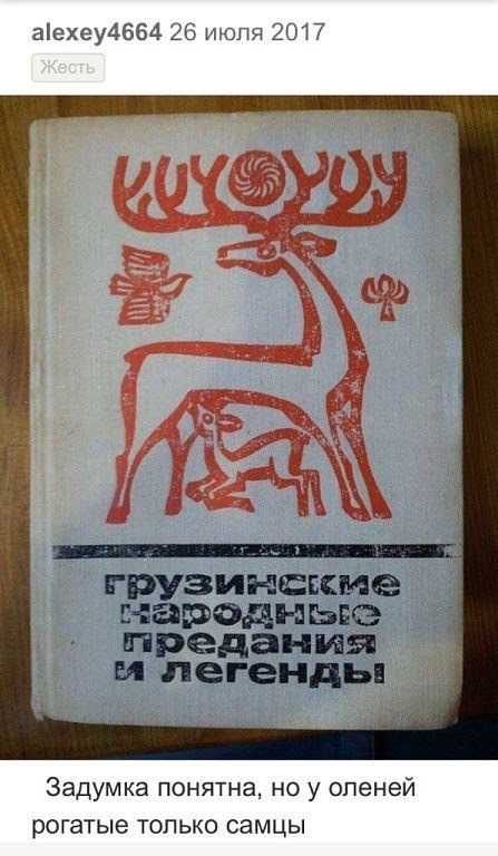 Прикольные картинки