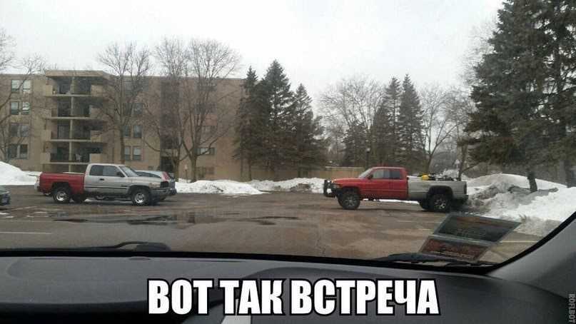 Прикольные картинки