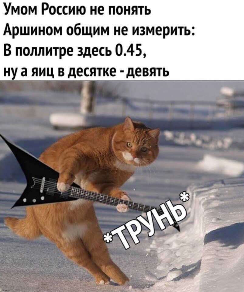 Анекдот про ночь и сон. Смотреть фото Анекдот про ночь и сон. Смотреть картинку Анекдот про ночь и сон. Картинка про Анекдот про ночь и сон. Фото Анекдот про ночь и сон